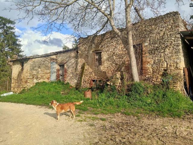 Villa Indipendente in vendita a Montecastrilli, Umbria