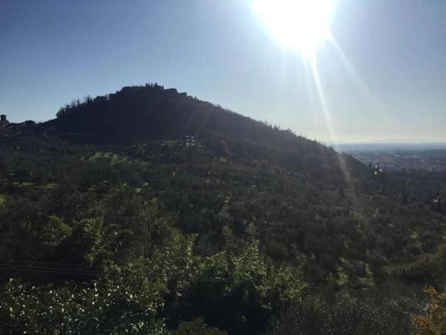 Villa Indipendente in vendita a Gallo, Montecatini Terme