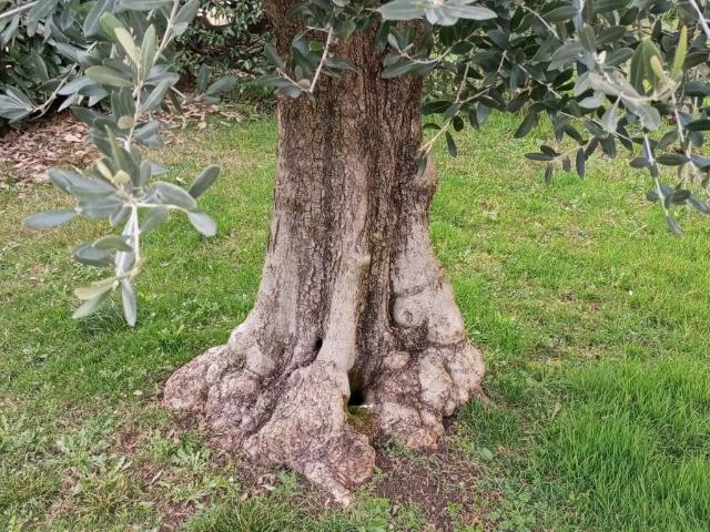 Villa Indipendente in vendita a Montecchio Precalcino, Veneto