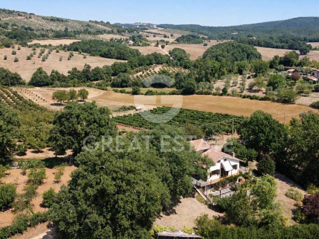 Villa Indipendente in vendita a Montecchio, Umbria