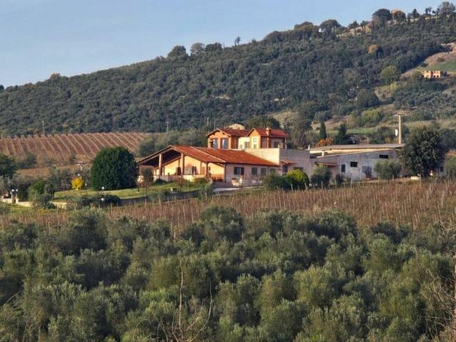 Villa Indipendente in vendita a San Martino, Montecchio