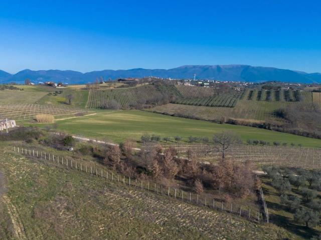 Villa Indipendente in vendita a Montefalco, Umbria