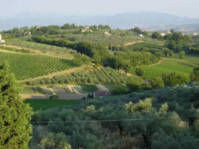 Villa Indipendente in vendita a Montefalco, Umbria