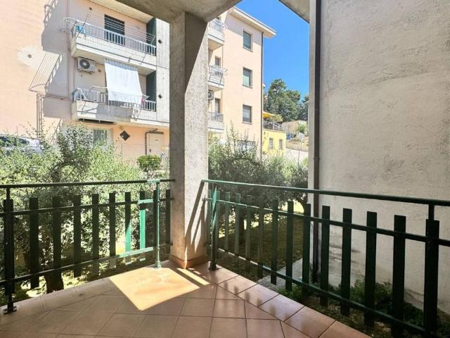 Villa Indipendente in vendita a Marche, Macerata