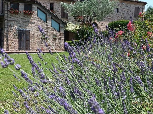 Villa Indipendente in vendita a Montegridolfo, Reggio Emilia