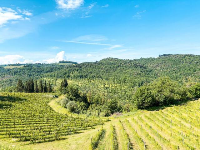 Villa Indipendente in vendita a Unione dei Comuni Circondario dell'Empolese Valdelsa, Montelupo Fiorentino