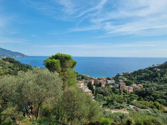 Villa Indipendente in vendita a Monterosso Al Mare, La Spezia