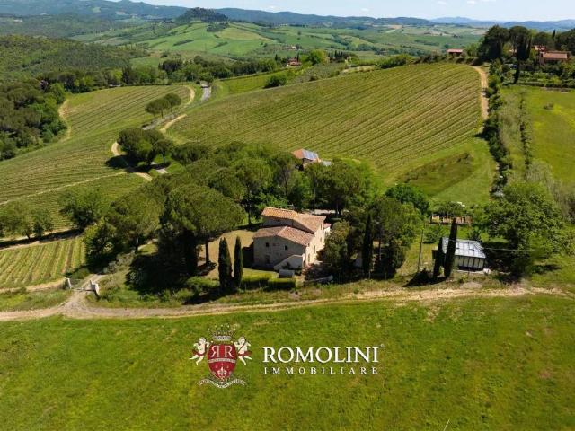 Villa Indipendente in vendita a Montescudaio, Toscana