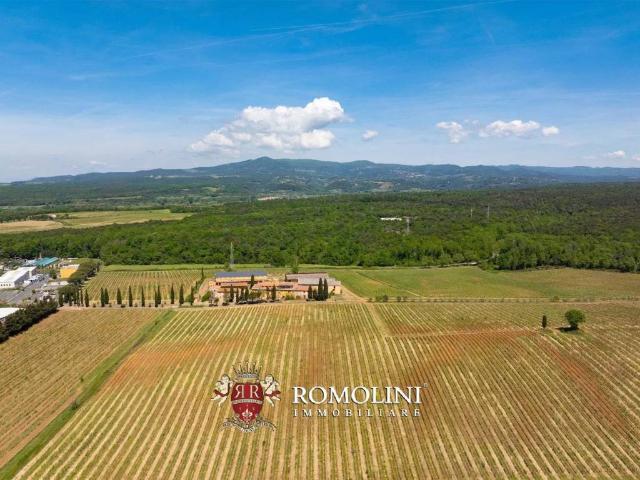 Villa Indipendente in vendita a Montescudaio, Toscana
