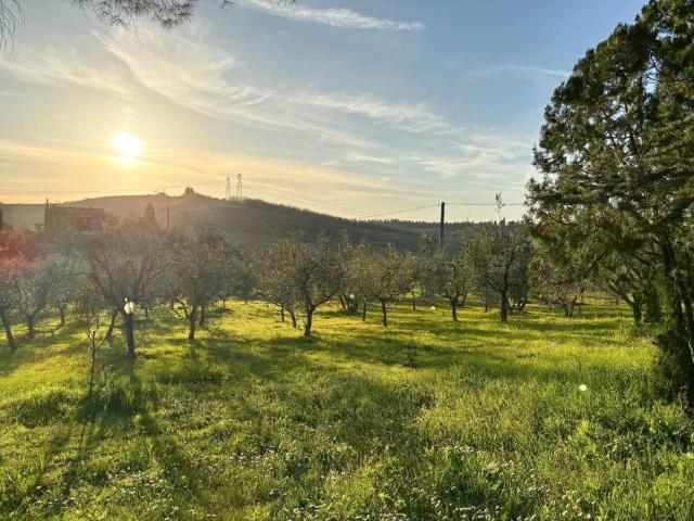 Villa Indipendente in vendita a Unione dei Comuni Circondario dell'Empolese Valdelsa, Montespertoli