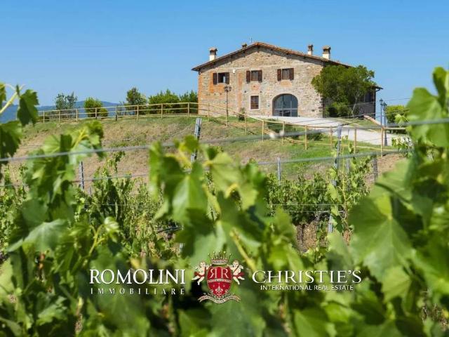 Villa Indipendente in vendita a Giglio, Montevarchi