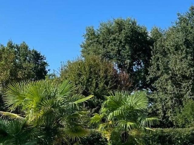 Villa Indipendente in vendita a Quattro Strade, Montevecchia