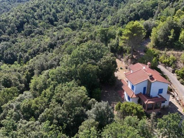Villa Indipendente in vendita a Monteverdi Marittimo, Toscana