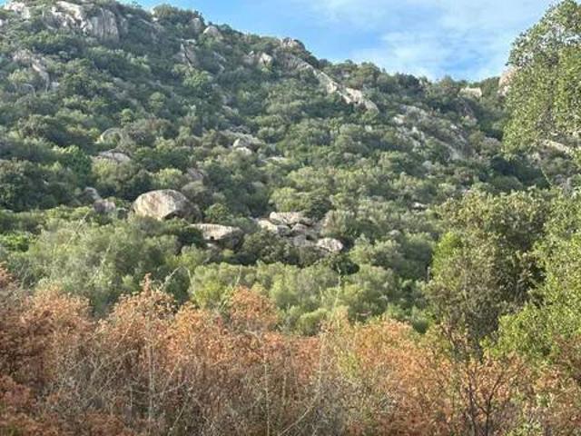 Villa Indipendente in vendita a Frades Berritteddos, Monte/Monti
