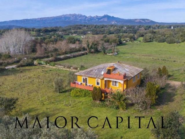 Villa Indipendente in vendita a Monte, Sardigna/Sardegna