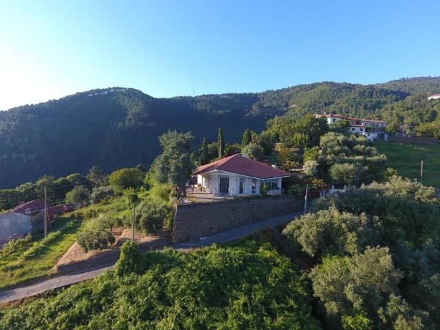 Villa Indipendente in vendita a Prato, Montignoso