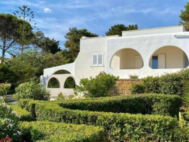 Villa Indipendente in vendita a Torre Vado, Puglia