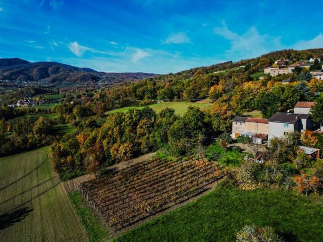 Villa Indipendente in vendita a Morfasso, Reggio Emilia