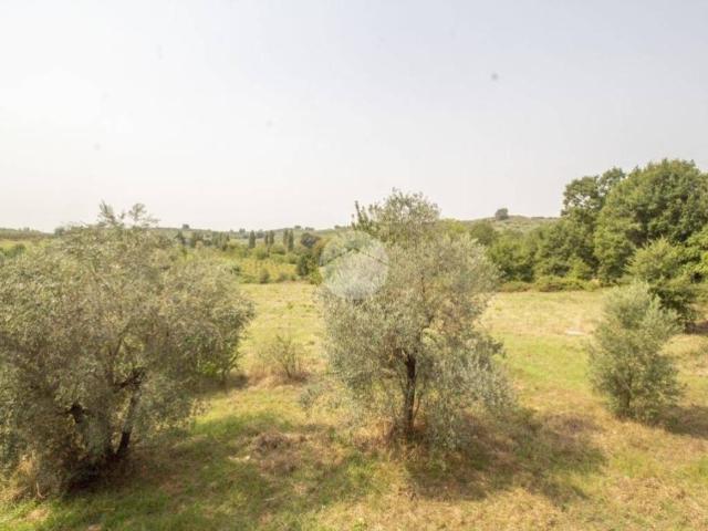 Villa Indipendente in vendita a Moricone, Roma Capitale