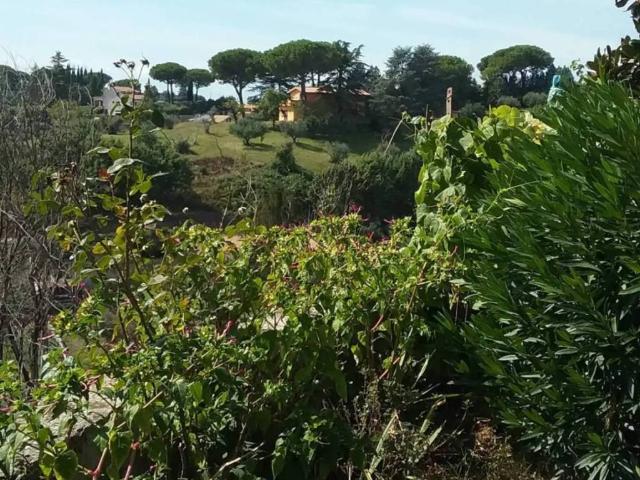 Villa Indipendente in vendita a Roma Capitale, Lazio