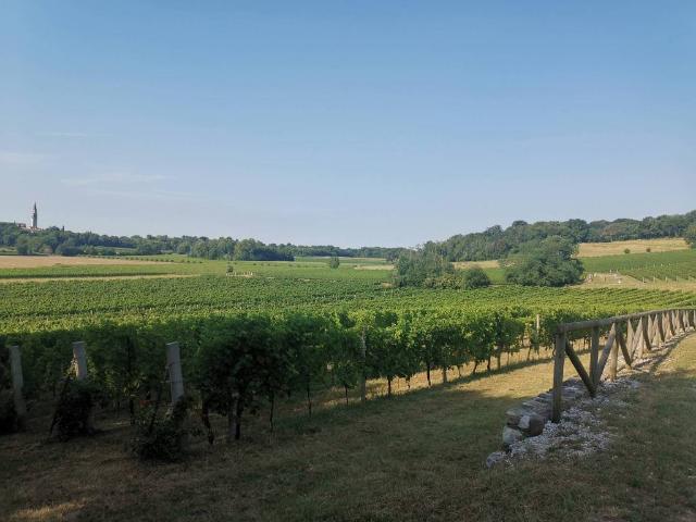 Villa Indipendente in vendita a Moruzzo, Friuli-Venezia Giulia