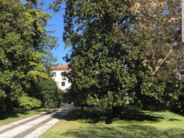 Villa Indipendente in vendita a Motta Di Livenza, Veneto