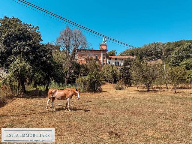 Villa Indipendente in vendita a Unione di comuni Montana Lunigiana, Mulazzo