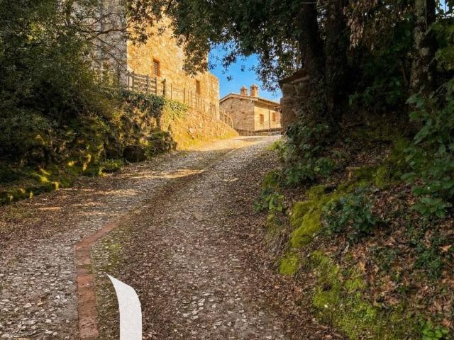 Villa Indipendente in vendita a Crevole, Murlo