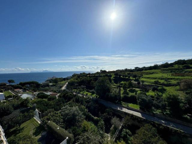 Villa Indipendente in vendita a Capo di Posillipo, Napola
