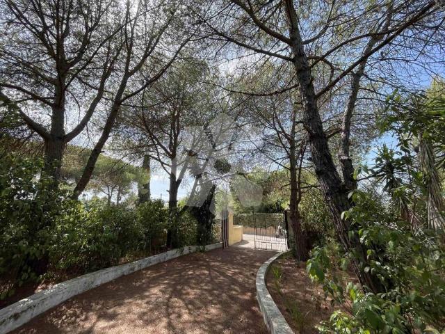 Villa Indipendente in vendita a Rione Bentivenga, Puglia