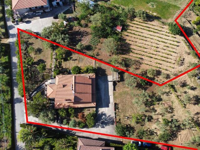 Villa Indipendente in vendita a Naso, Sicilia
