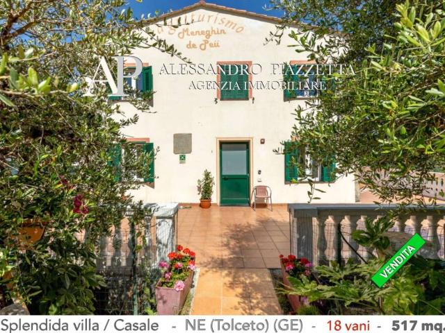 Villa Indipendente in vendita a Ne