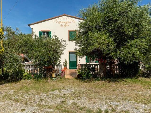 Villa Indipendente in vendita a Ne