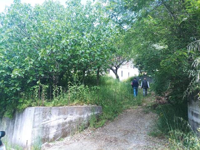 Villa Indipendente in vendita a Nemoli, Potenza