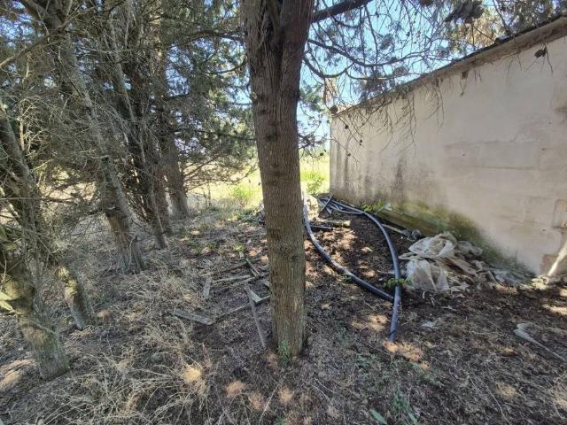 Villa Indipendente in vendita a Puglia, Lecce