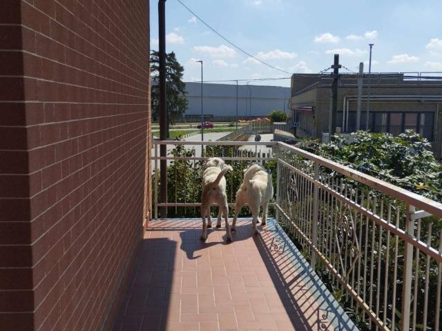 Villa Indipendente in vendita a Area industriale di None, None