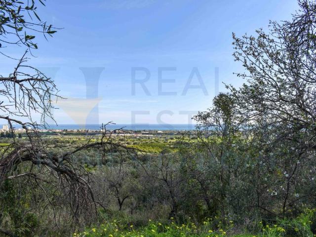 Villa Indipendente in vendita a Noto, Sicilia