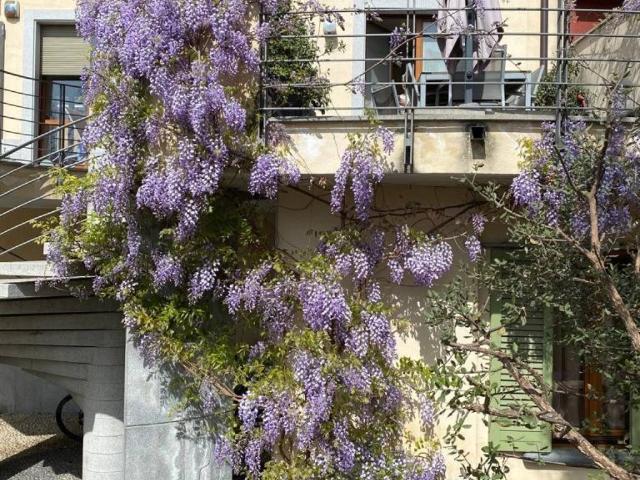 Villa Indipendente in vendita a Grugnotorto, Nova Milanese
