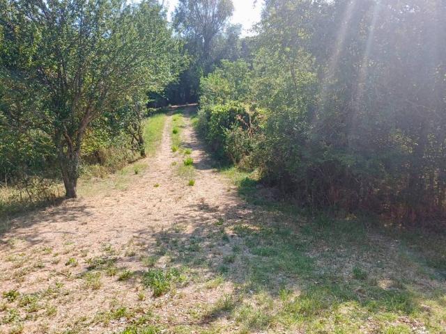 Villa Indipendente in vendita a Unione di comuni Valmarecchia, Novafeltria