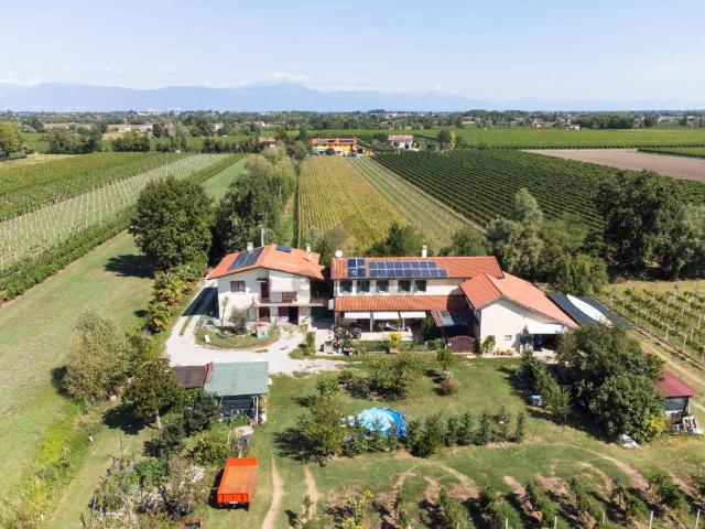 Villa Indipendente in vendita a Rustignè, Oderzo