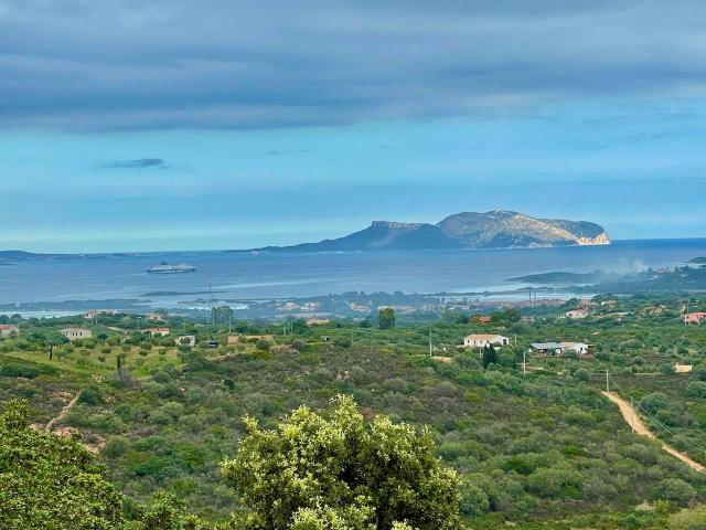 Villa Indipendente in vendita a San Pantaleo, Sardigna/Sardegna
