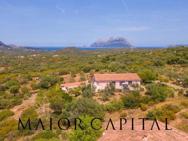 Villa Indipendente in vendita a San Pantaleo, Sardigna/Sardegna
