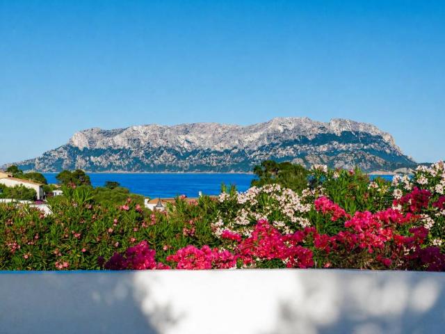 Villa Indipendente in vendita a San Pantaleo, Sardigna/Sardegna