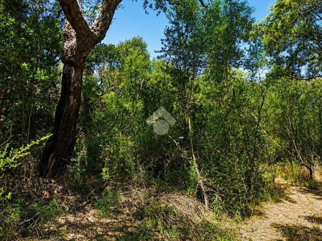Villa Indipendente in vendita a San Pantaleo, Sardigna/Sardegna