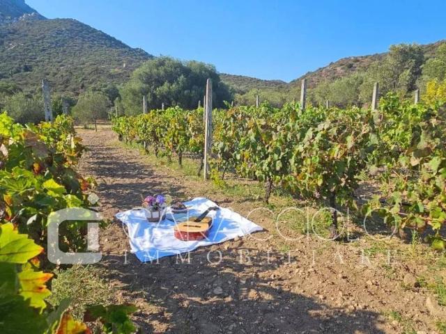 Villa Indipendente in vendita a San Pantaleo, Sardigna/Sardegna