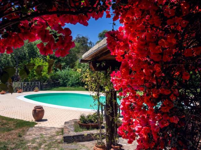 Villa Indipendente in vendita a San Pantaleo, Sardigna/Sardegna