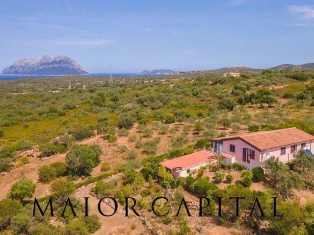 Villa Indipendente in vendita a San Pantaleo, Sardigna/Sardegna
