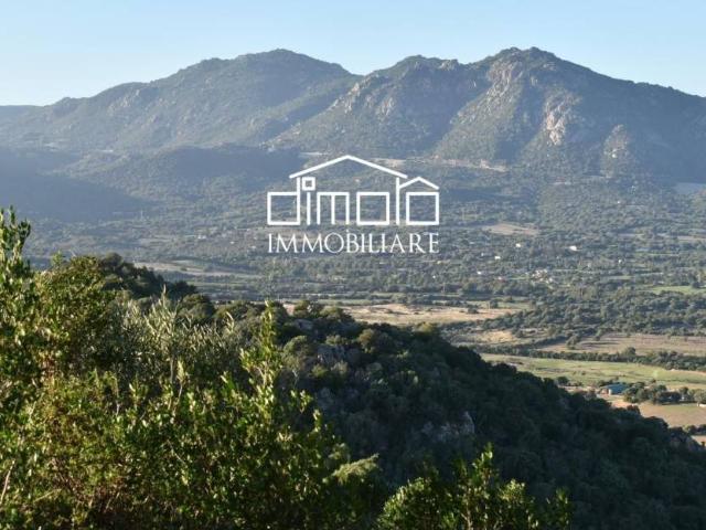 Villa Indipendente in vendita a San Pantaleo, Sardigna/Sardegna