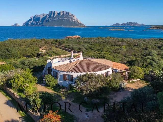 Villa Indipendente in vendita a San Pantaleo, Sardigna/Sardegna