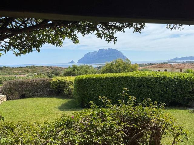 Villa Indipendente in vendita a San Pantaleo, Sardigna/Sardegna